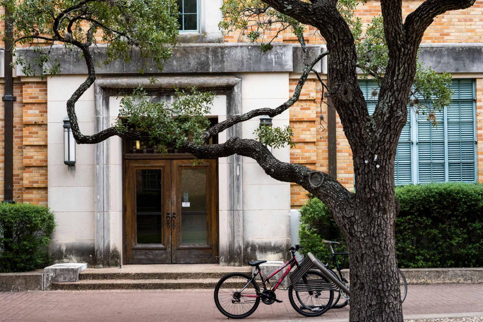 Bike at bike rack on East Mall in between oak tree and building
